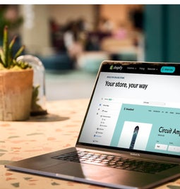 A laptop on a table with a potted plant next to it, and displaying an ecommerce platform on-screen