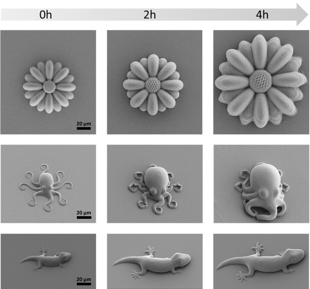 Making lifelike, 3D-printed microscopic creatures from smart polymers