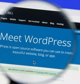 A magnified view of the WordPress homepage showcasing the tagline 