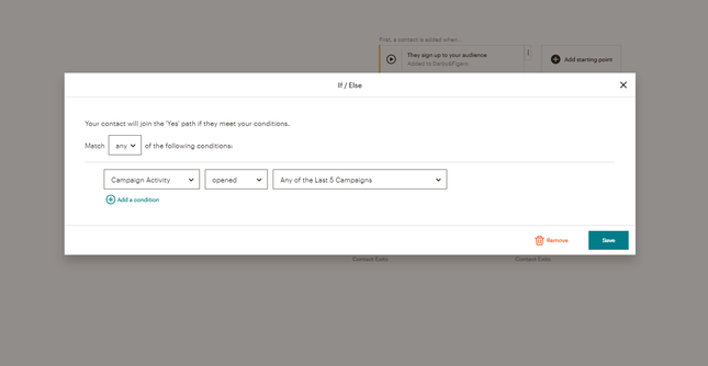 Customer Journey If Else Filter