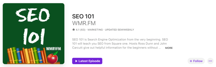 SEO 101 podcast profile on Apple Podcasts