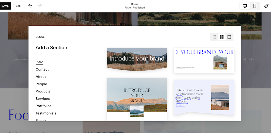 The Squarespace editor with the “Add a Section” popup open on various Intro pages.