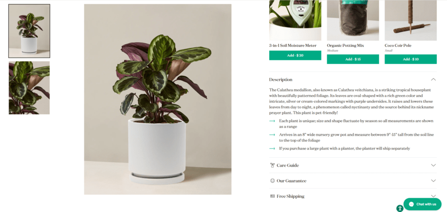 Product page fo a plant for sale on The Sill's website