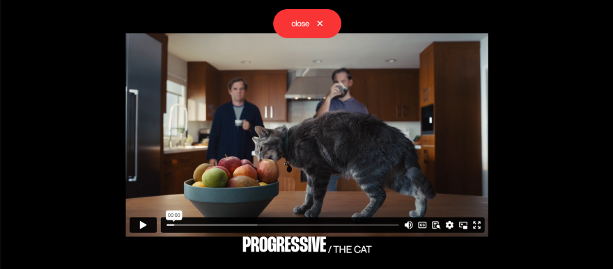 Screenshot of a embedded video showcasing a cat by a fruit bowl