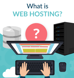 what is web hosting